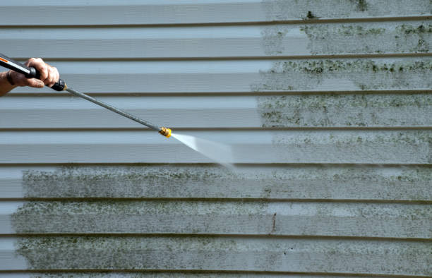Best Driveway Pressure Washing  in New Madison, OH